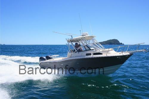 Grady White Voyager 258 ficha técnica y opiniones